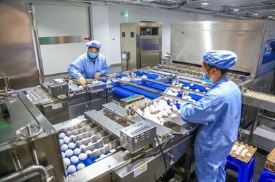 華蘭生物董事長安康 研發不斷前行，新型疫苗與生物制品蓄勢待發