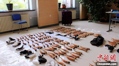 黑龍江破獲特大由俄入境珍貴動物制品走私案 生物制品的生產